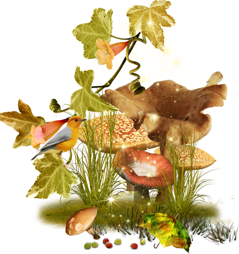 őszi állatok_17.png